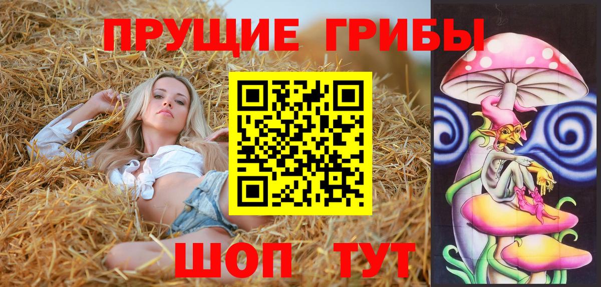 Амурск  Галлюциногенные грибы Psilocybe  Вход с VPN 